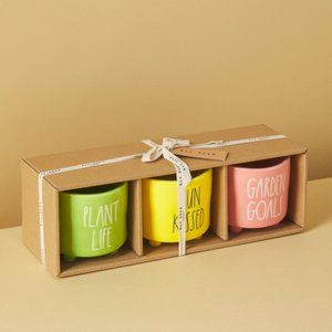 NWT Rae Dunn 3-Pk Plant Life Ceramic Planters